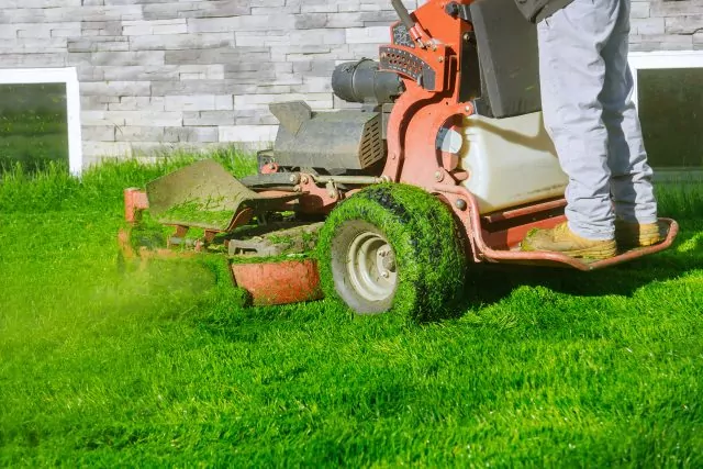 Lawn Mower Cutting The Grass Gardening Activity Own Home Yard With Lawn Mower