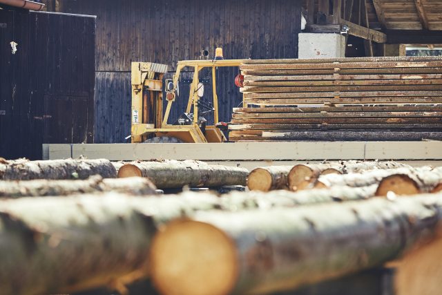 Timber At The Sawmill