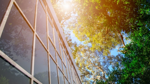 outdoor wall of windows beside trees.