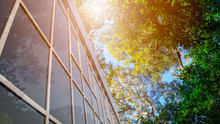 outdoor wall of windows beside trees.